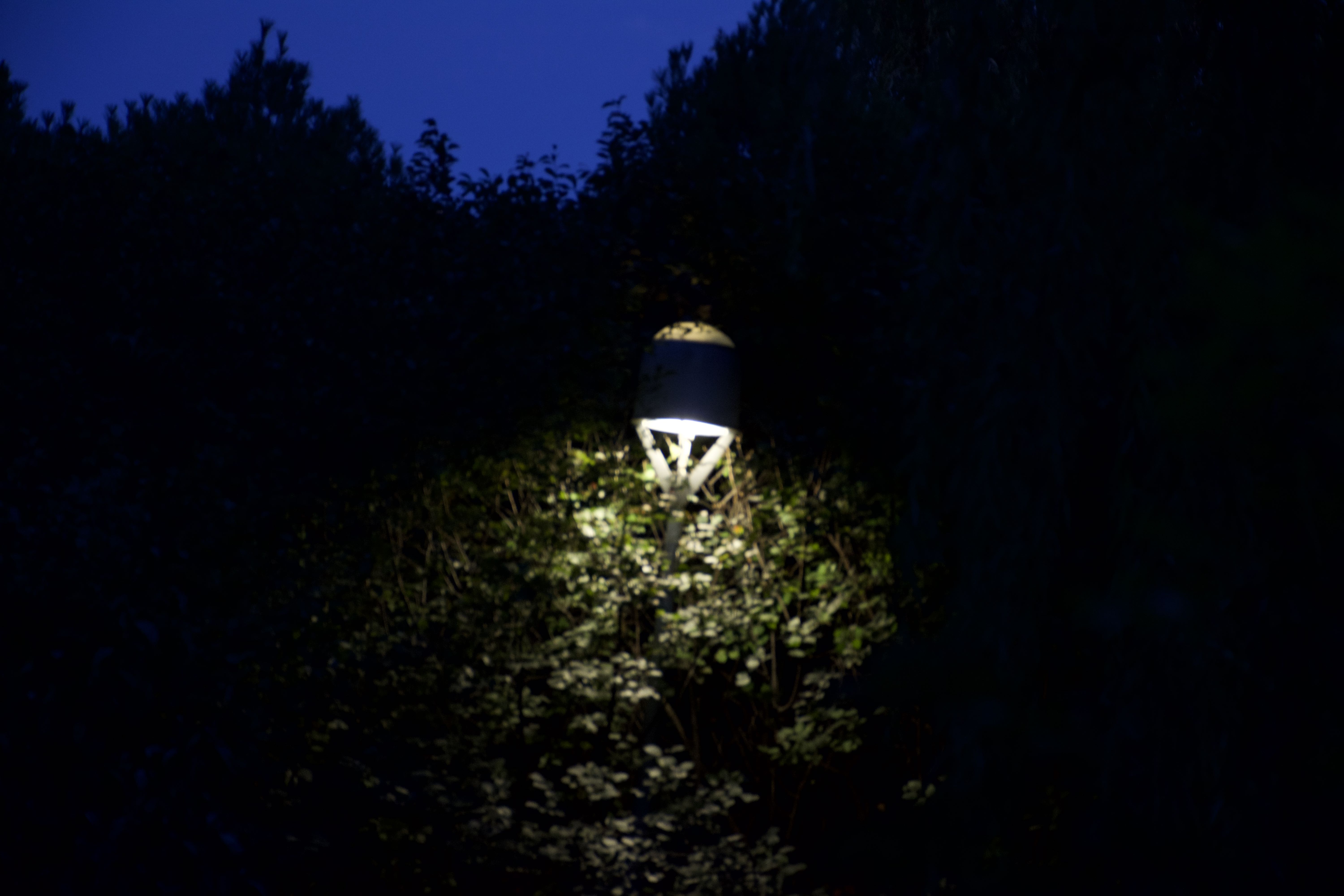 aosen3 奥林匹克森林公园